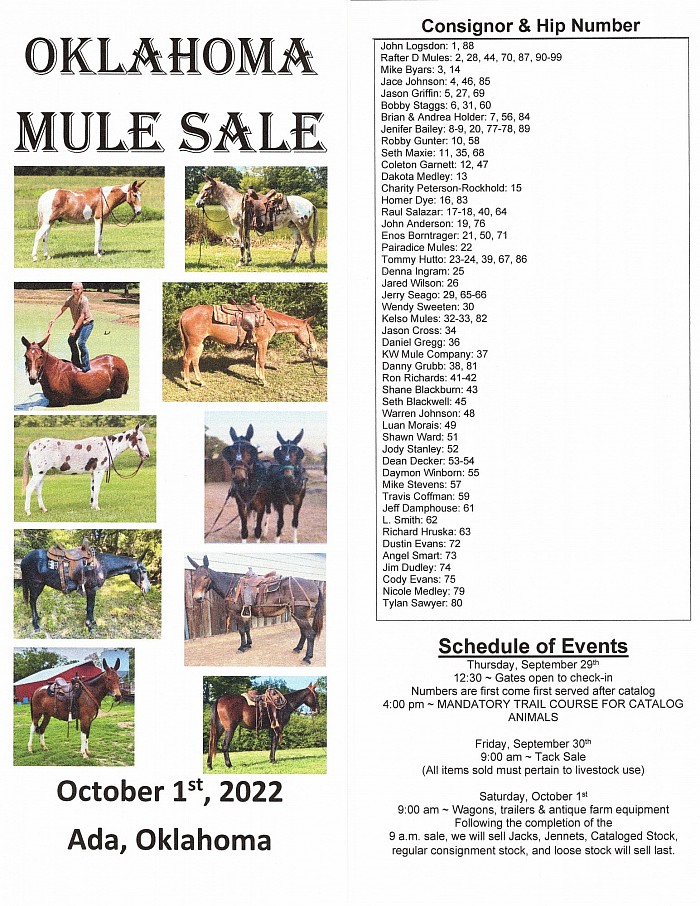 Oklahoma Mule Sale Fall 2022 Catalog